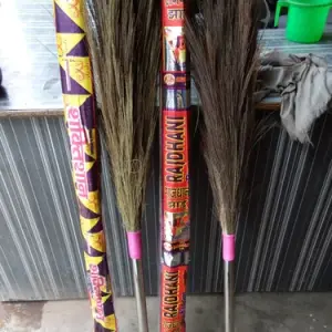 Phool Jhadu